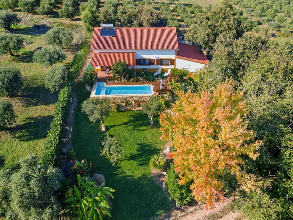 Vista Aérea Panorâmica